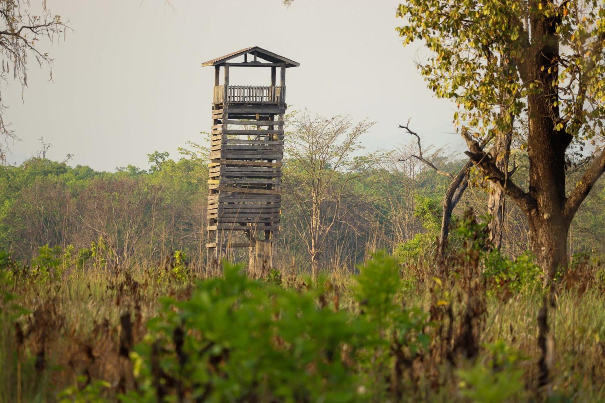 Forest Hideaway Resort Pvt Ltd Bardiya Bagian luar foto