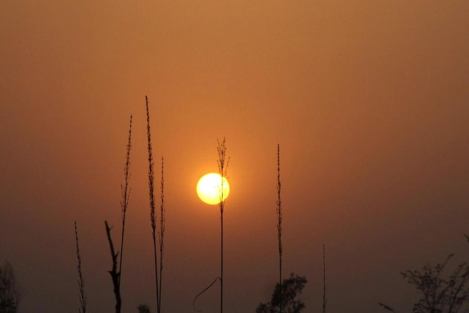 Forest Hideaway Resort Pvt Ltd Bardiya Bagian luar foto