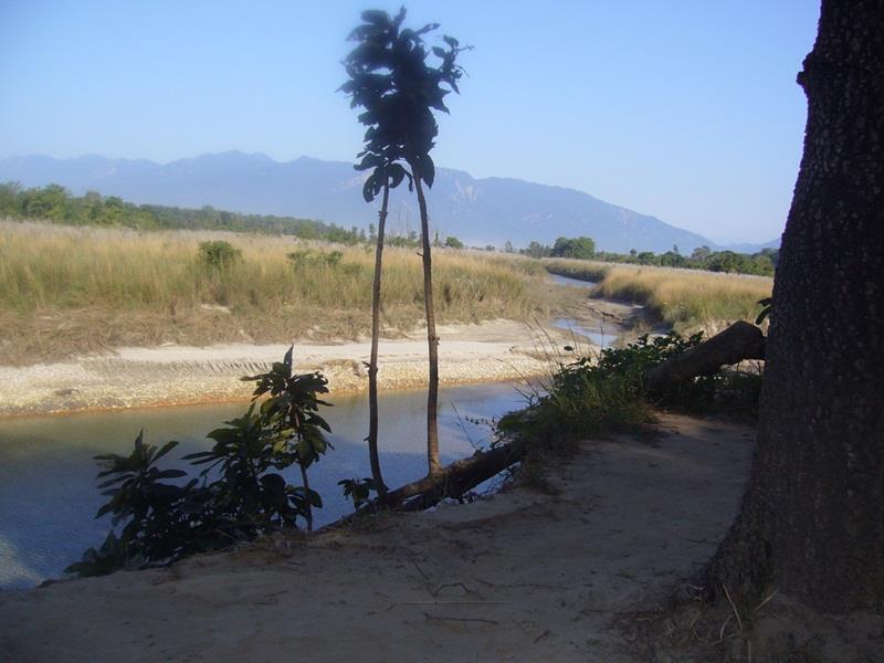 Forest Hideaway Resort Pvt Ltd Bardiya Bagian luar foto